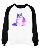 Bluza Unisex cu maneci raglan - Just Cat